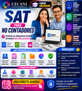 Curso en SAT para No Contadores