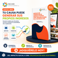 Manual: Modelos de Generación de Ingresos Propios para Organizaciones
