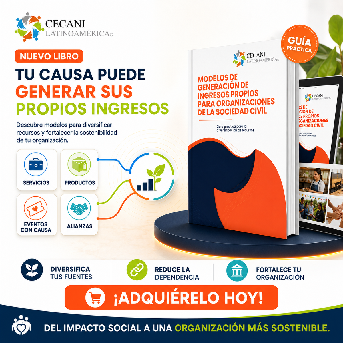 Manual: Modelos de Generación de Ingresos Propios para Organizaciones