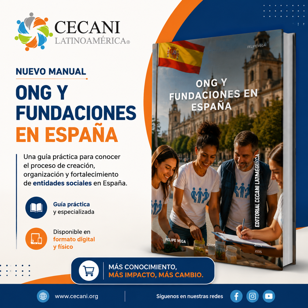 Manual: ONG y Fundaciones en España