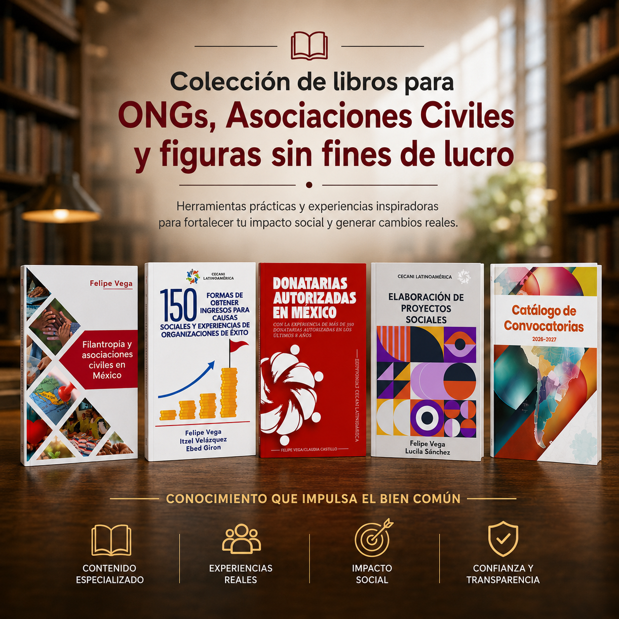 Colección de libros digitales para ONGs, Asociaciones Civiles y figuras sin fines de lucro