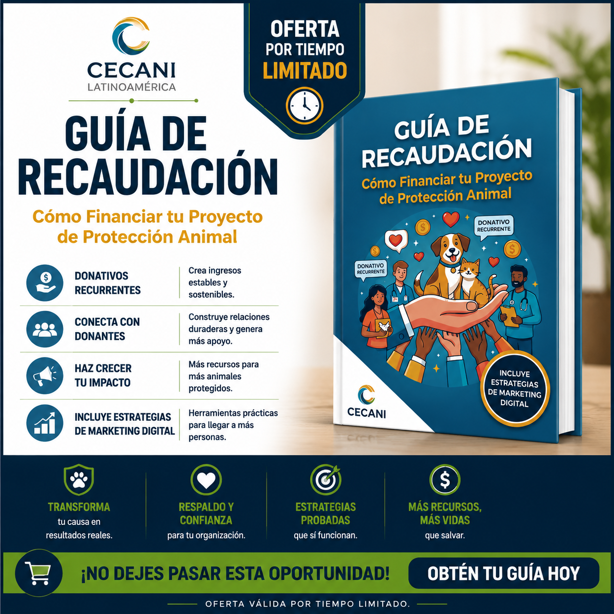 Guía: Cómo financiar tu proyecto de protección animal
