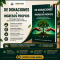 Guía: De Donaciones a Ingresos Propios