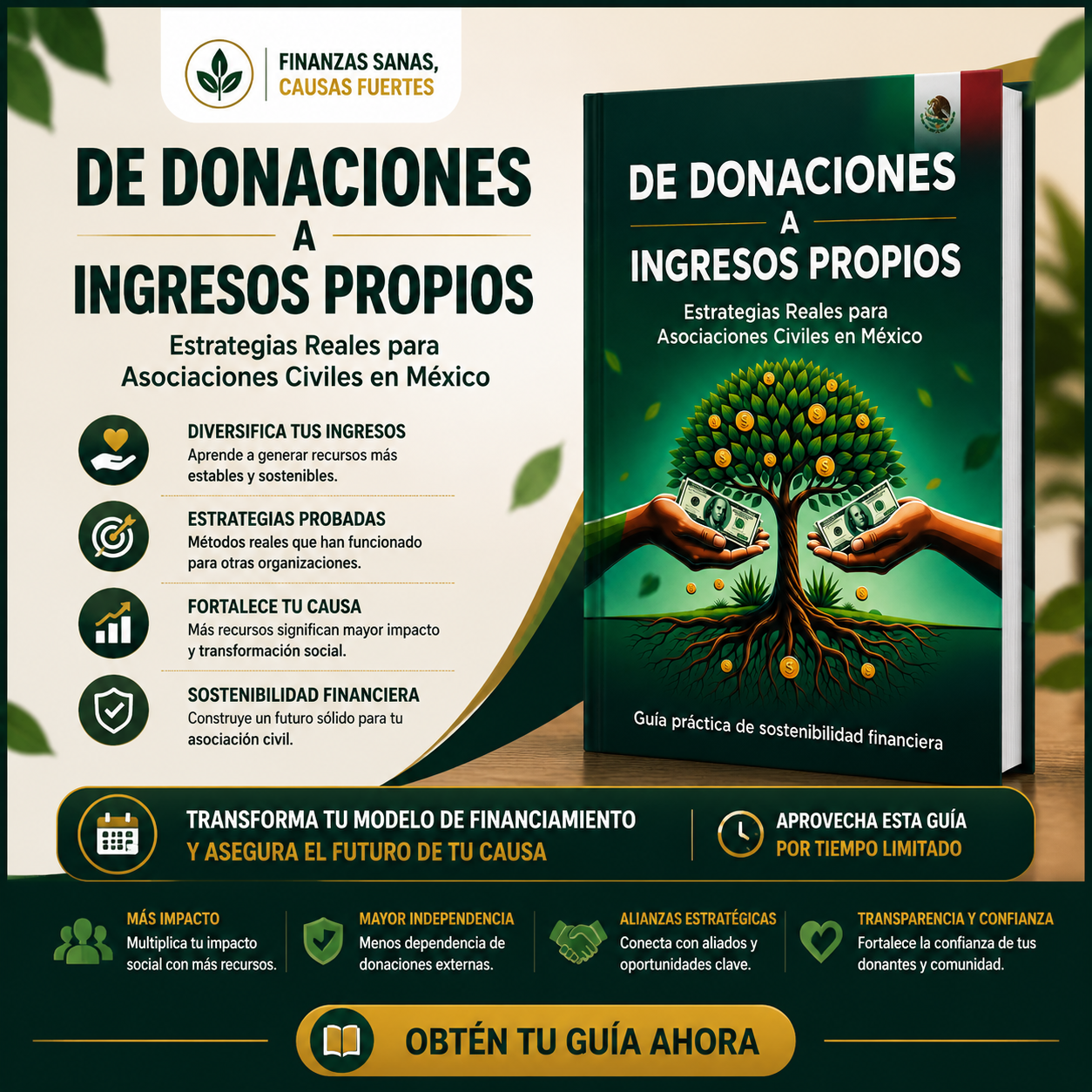 Guía: De Donaciones a Ingresos Propios